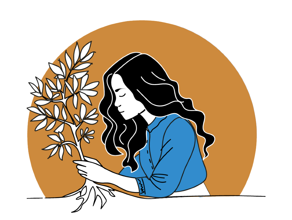 illustration racine graphisme