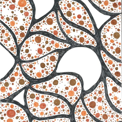 croquis adn illustration da univers